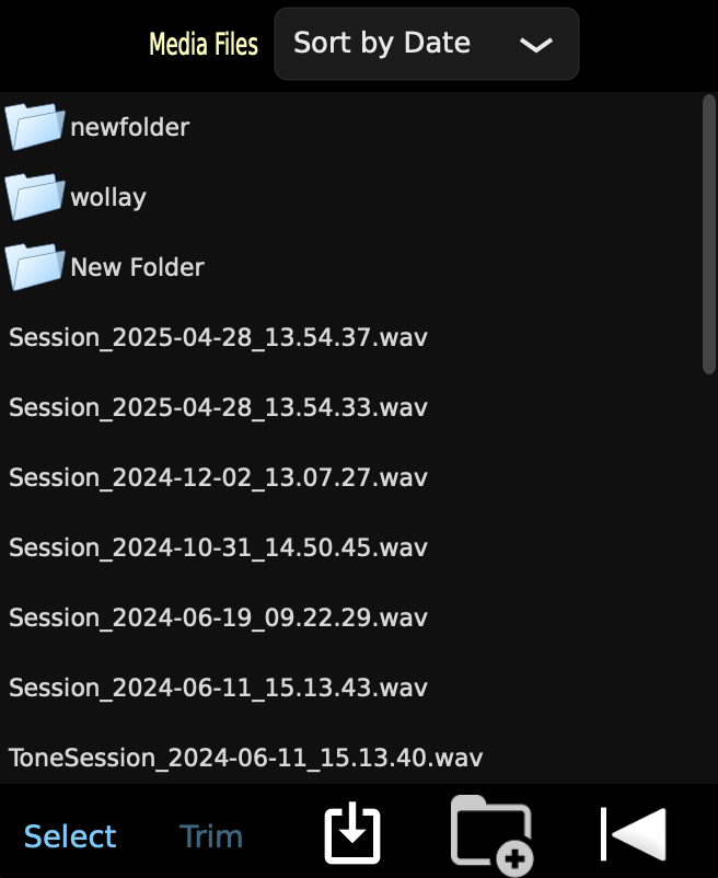 Media Files