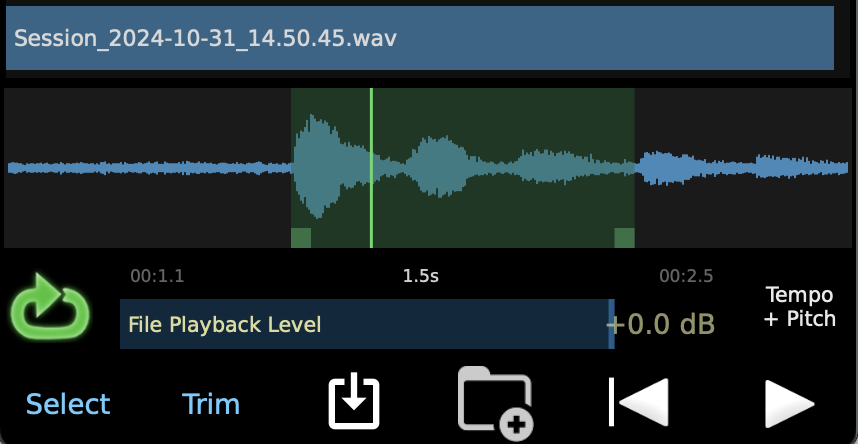 Loop Playback
