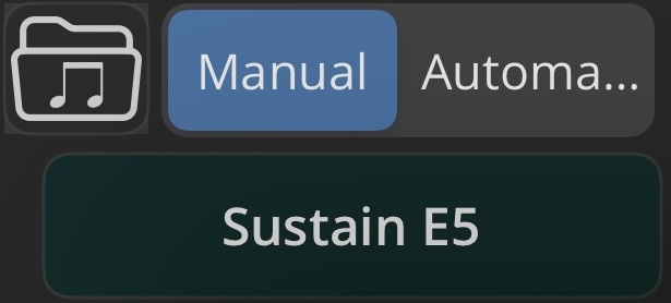 Manual