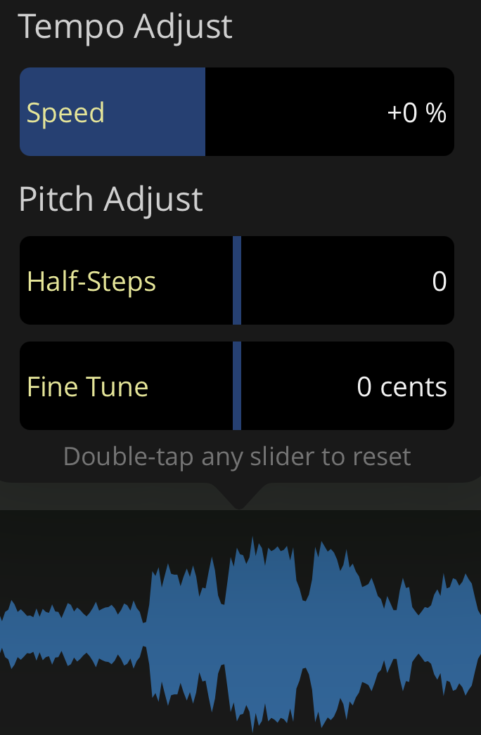 Tempo and Pitch View