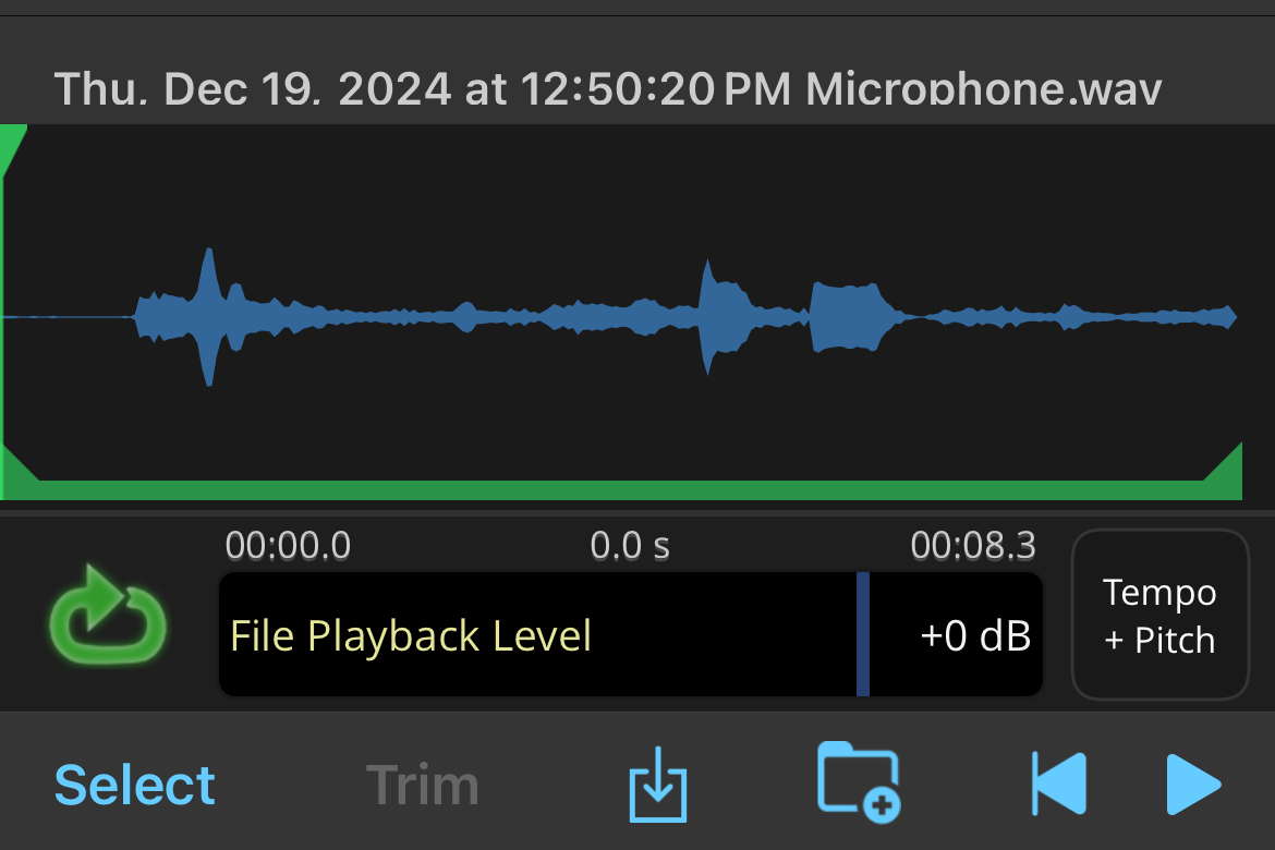 Loop Playback